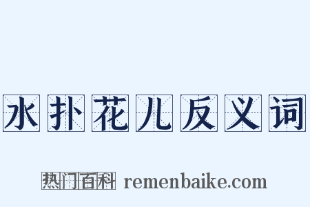 水扑花儿反义词是什么意思的图片
